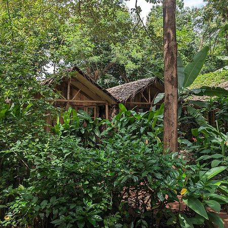 Backyard Hostel Moshi Bagian luar foto