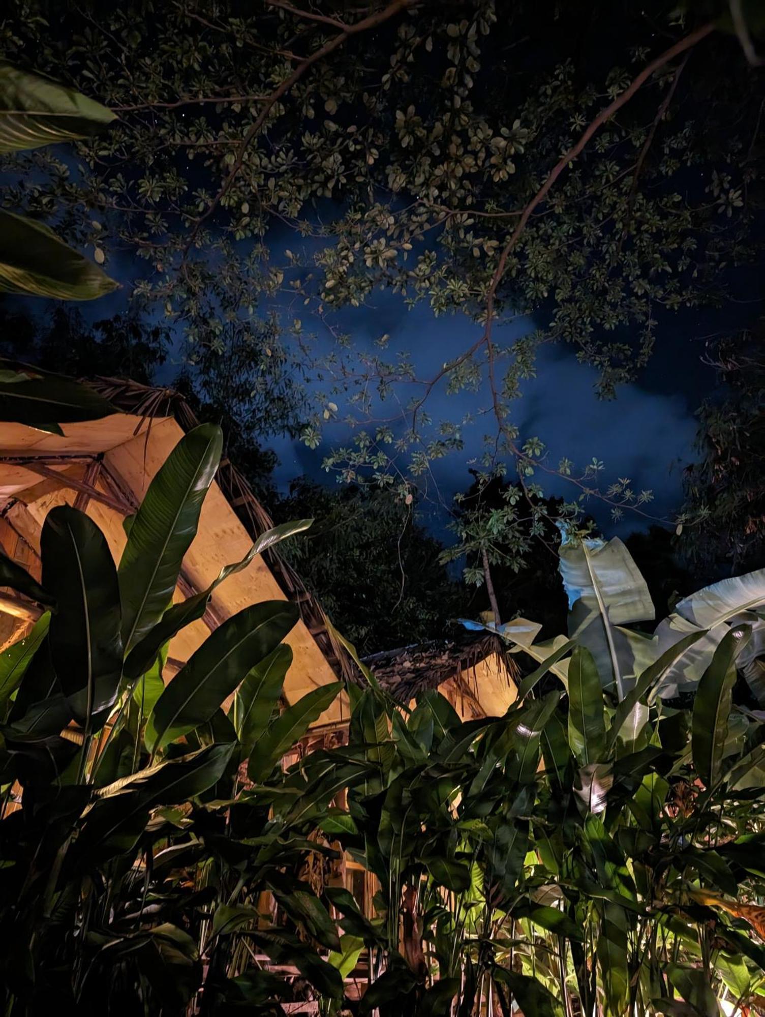 Backyard Hostel Moshi Bagian luar foto