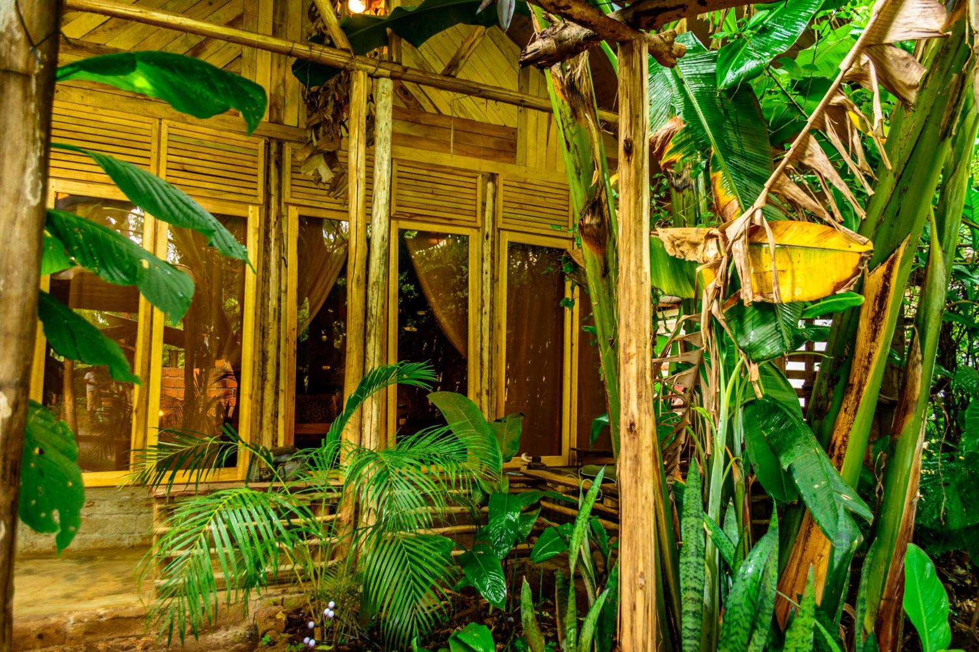 Backyard Hostel Moshi Bagian luar foto