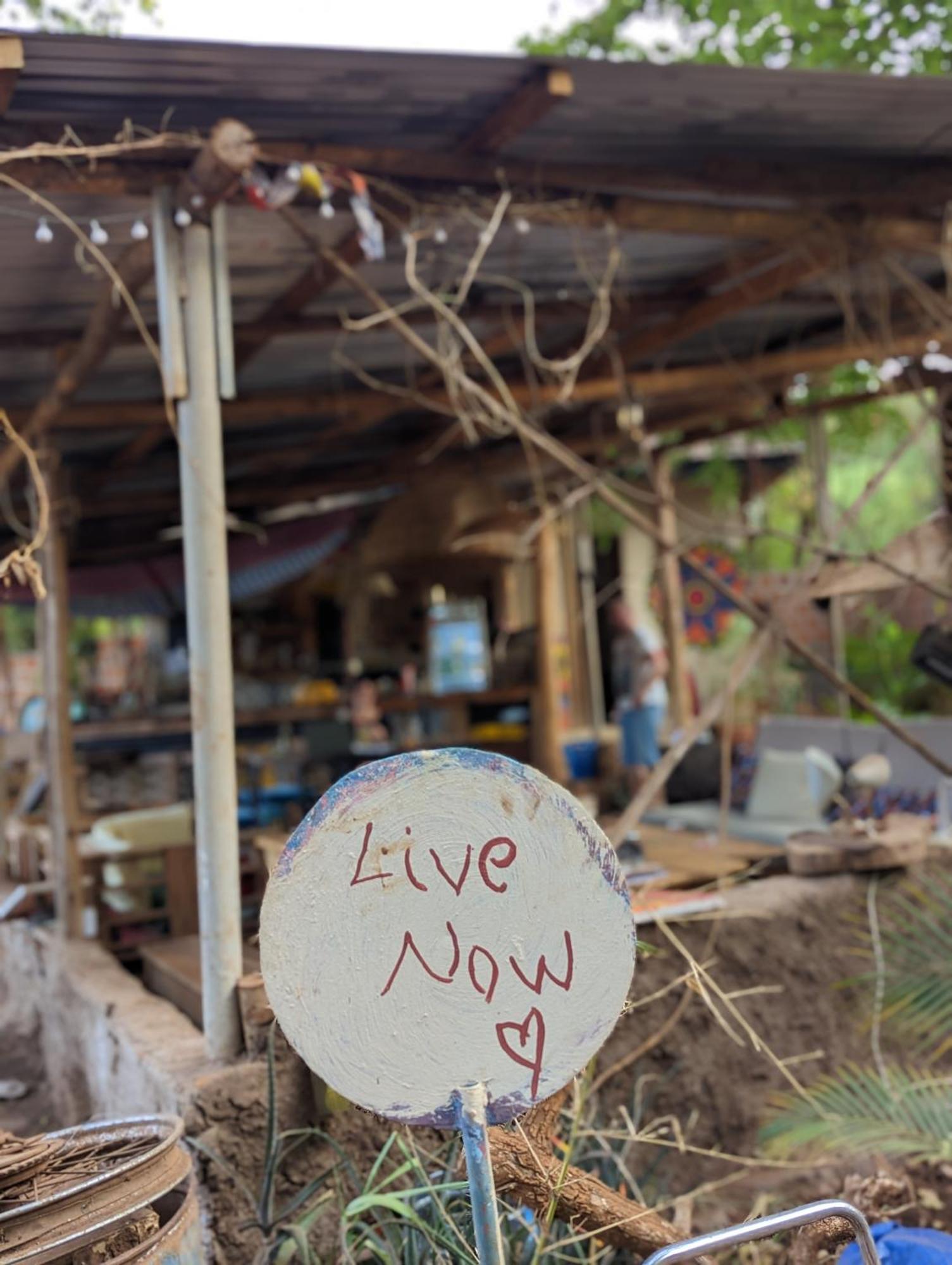 Backyard Hostel Moshi Bagian luar foto
