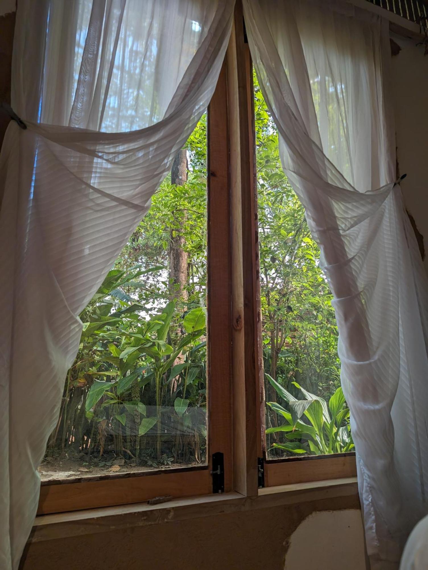 Backyard Hostel Moshi Bagian luar foto