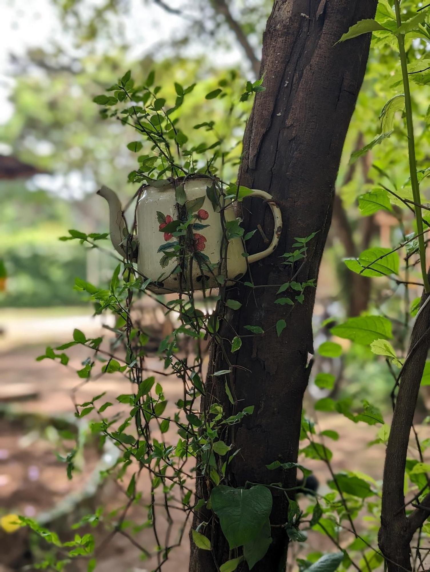 Backyard Hostel Moshi Bagian luar foto