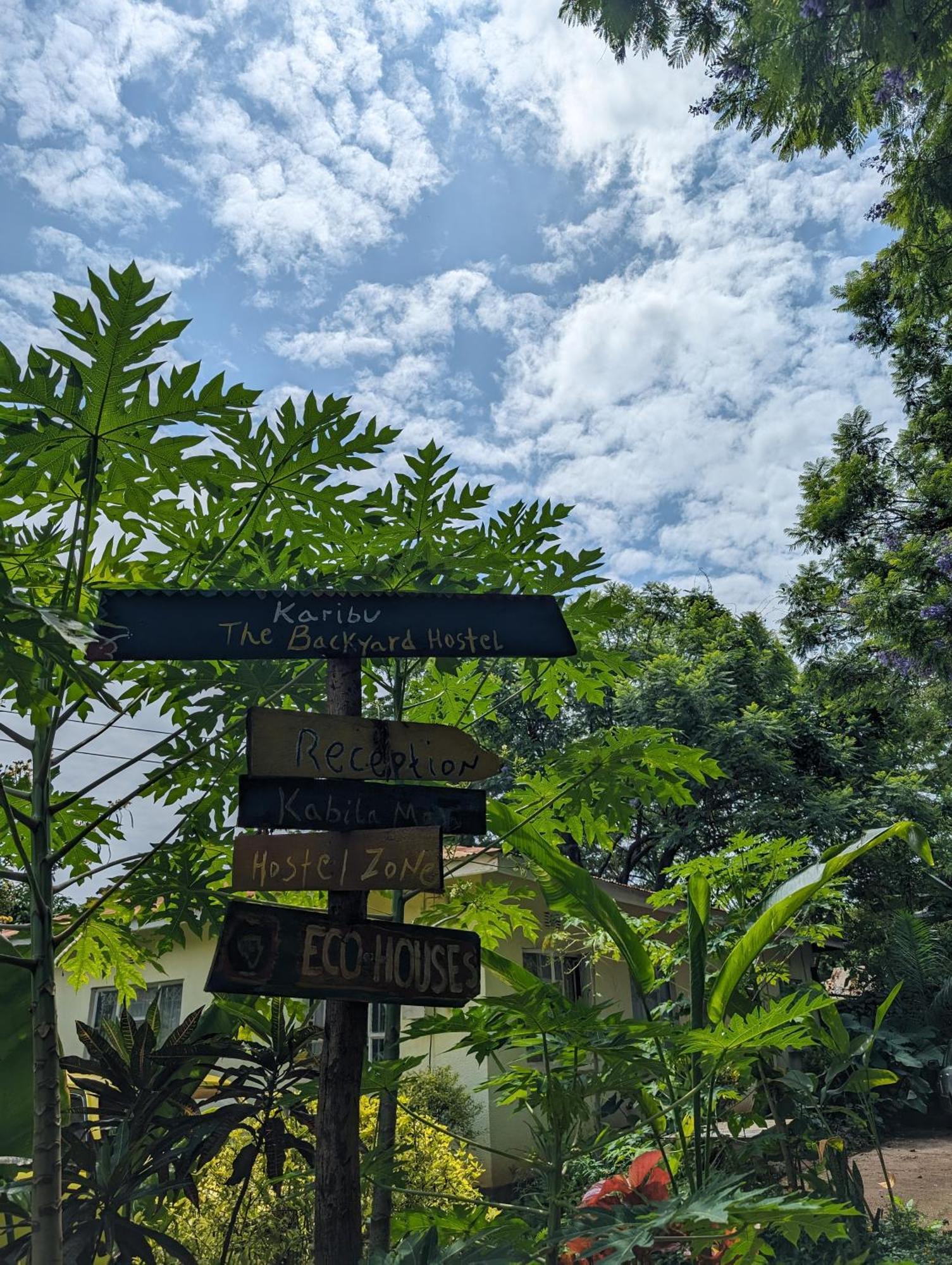 Backyard Hostel Moshi Bagian luar foto