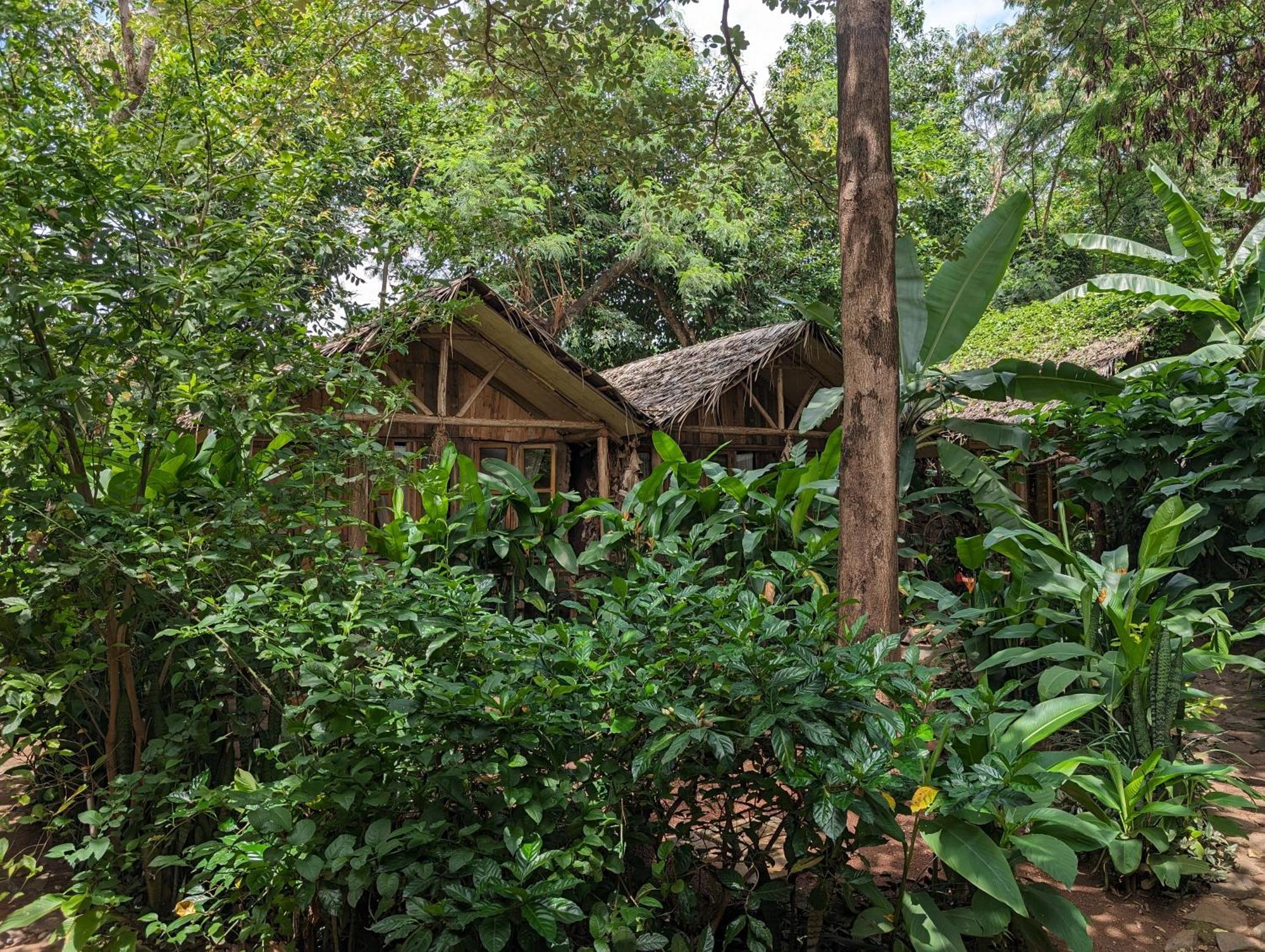 Backyard Hostel Moshi Bagian luar foto